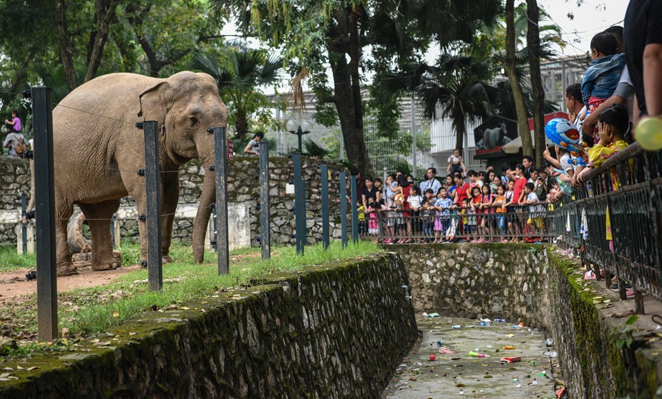 Người dân mang võng vào công viên nằm trốn nắng ngày lễ ảnh 20
