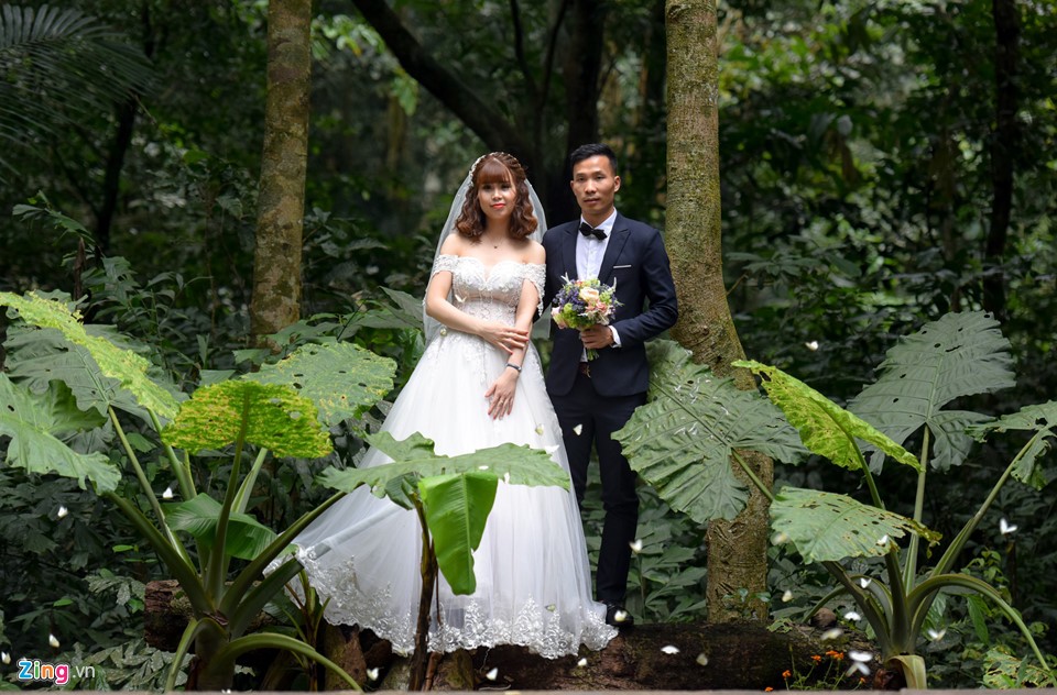 Dân 'phượt' về vườn quốc gia săn bướm ngày nghỉ lễ ảnh 11