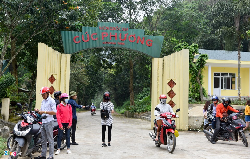 Dân 'phượt' về vườn quốc gia săn bướm ngày nghỉ lễ ảnh 1