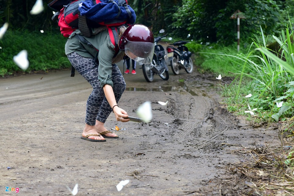 Dân 'phượt' về vườn quốc gia săn bướm ngày nghỉ lễ ảnh 5