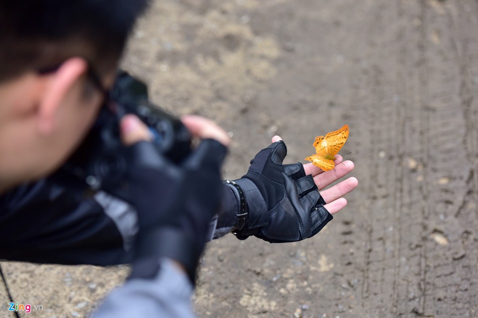 Dân 'phượt' về vườn quốc gia săn bướm ngày nghỉ lễ ảnh 6