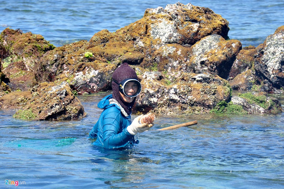 Di sản thiên nhiên Quảng Ngãi sắp giao cho Tập đoàn FLC ảnh 10