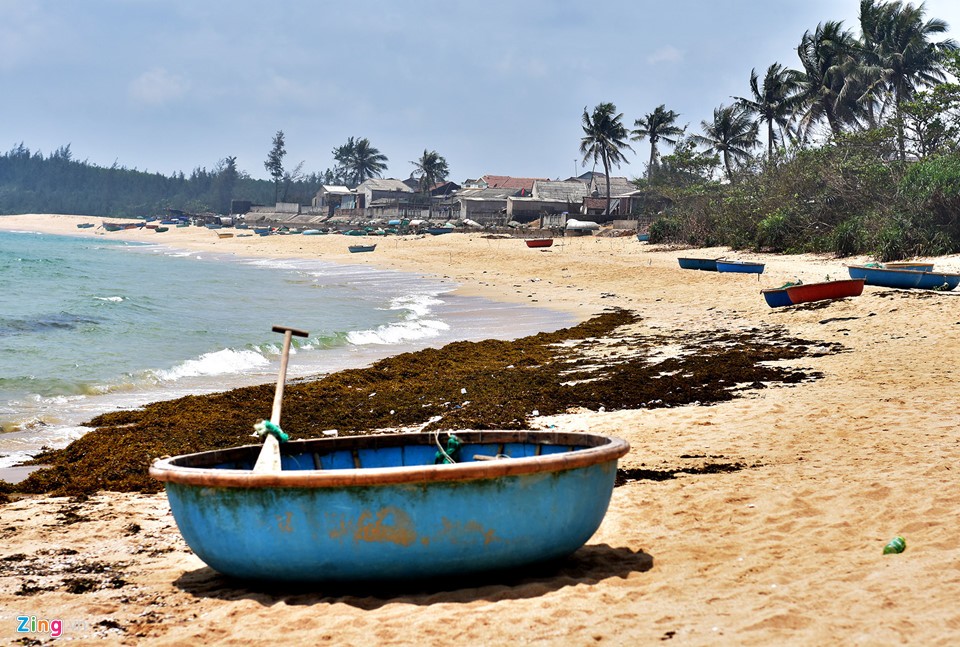 Di sản thiên nhiên Quảng Ngãi sắp giao cho Tập đoàn FLC ảnh 15