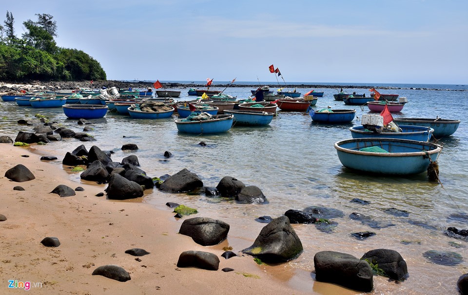 Di sản thiên nhiên Quảng Ngãi sắp giao cho Tập đoàn FLC ảnh 17