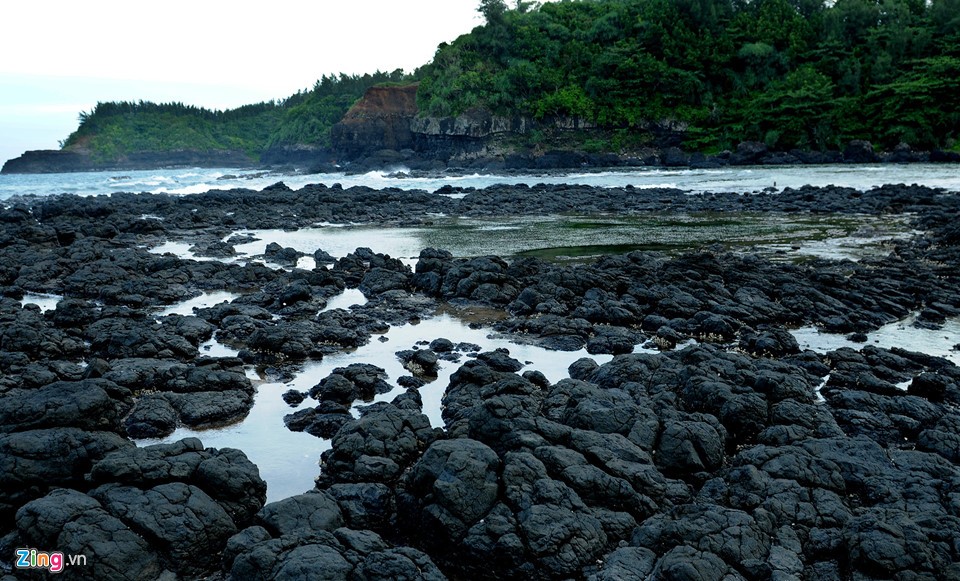 Di sản thiên nhiên Quảng Ngãi sắp giao cho Tập đoàn FLC ảnh 3