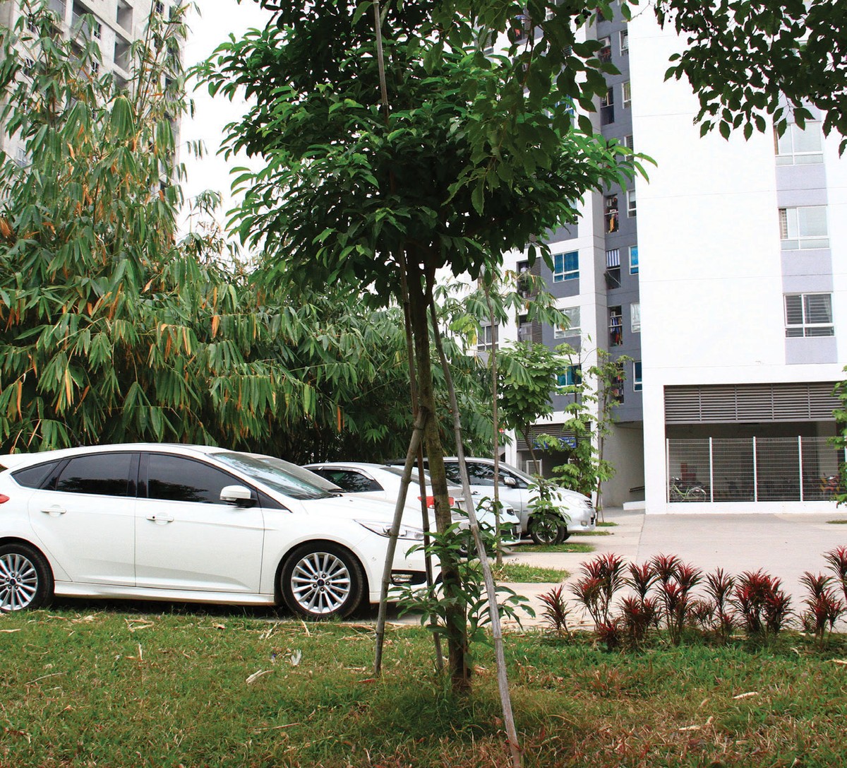 Nghị định 139/2017/NĐ-CP - “thanh gươm chưa rút khỏi vỏ” ảnh 6