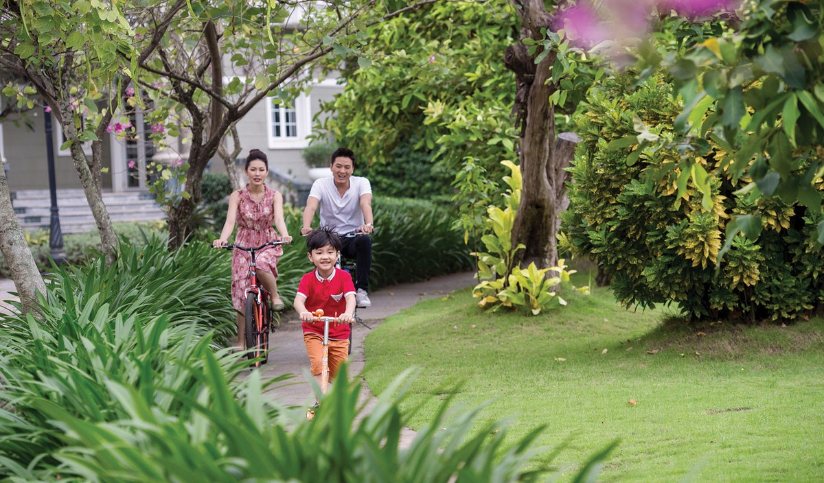 Điểm sáng trong giấc mơ “thung lũng silicon Việt Nam” ảnh 1