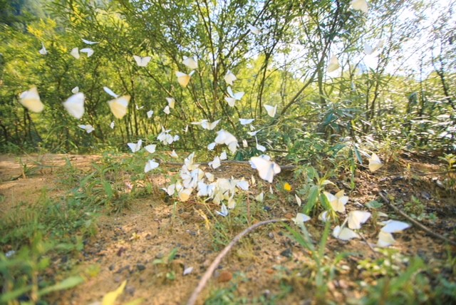 Chèo thuyền vượt sông, chạy đua xuyên hang động Tú Làn ảnh 22