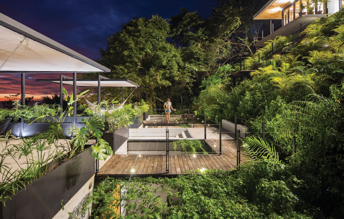 Mint Santa Teresa: Cảm hứng nhiệt đới ảnh 2