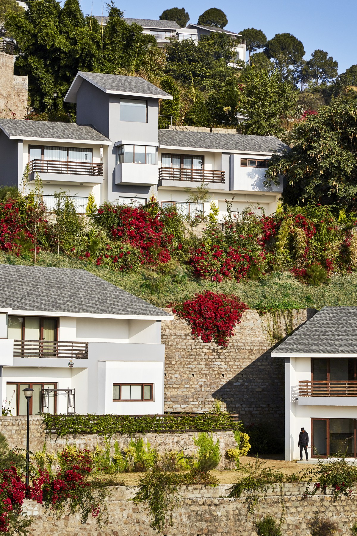 The Woodside: Ngày mới nhẹ nhàng ảnh 4