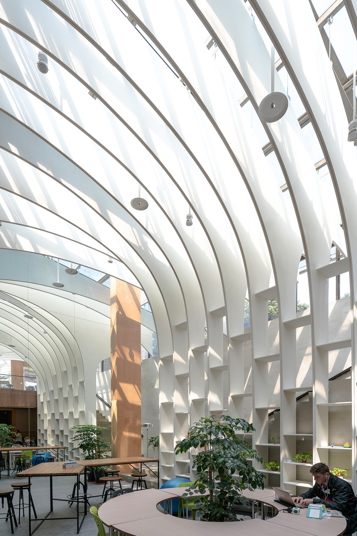 Rain of Light: Những cơn mưa ánh sáng ảnh 6