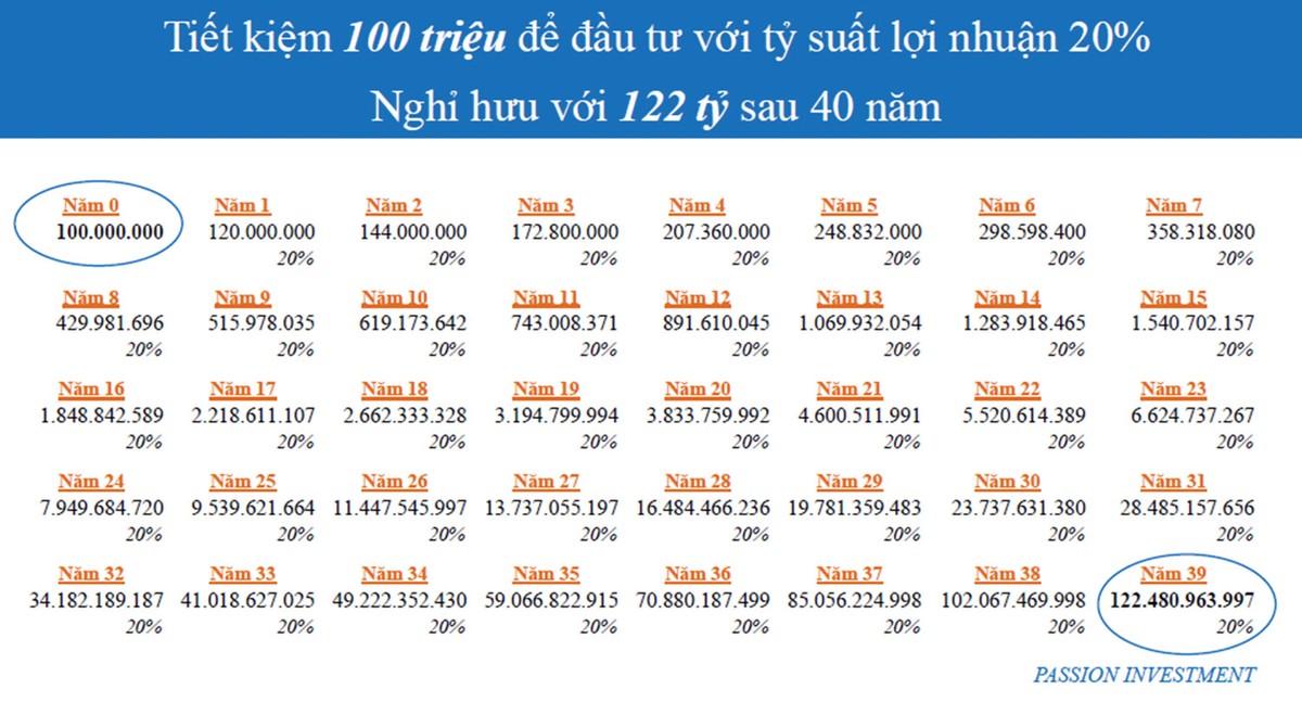 Passion Investment có lách luật? ảnh 1