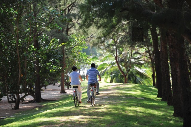 Giới thượng lưu đang đổ tiền vào đâu? ảnh 1