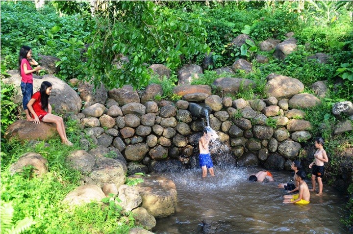 Chủ tịch tỉnh Quảng Trị kiểm tra mô hình Sâm Bố Chính và hệ thống giếng cổ Gio An ảnh 1