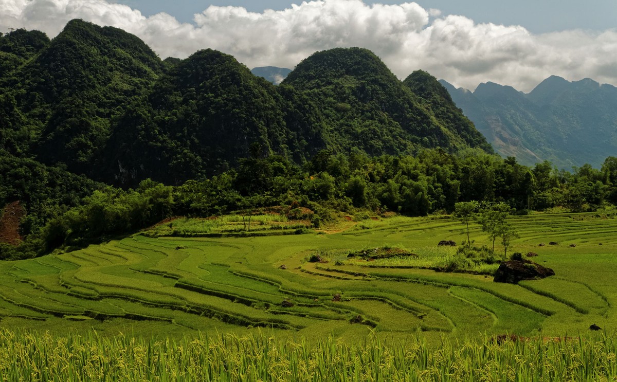 Pù Luông - Mùa lúa chín ảnh 3