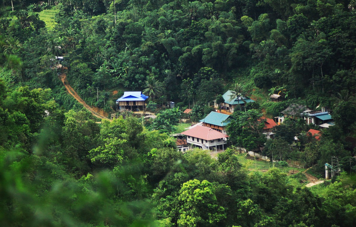 Pù Luông - Mùa lúa chín ảnh 5