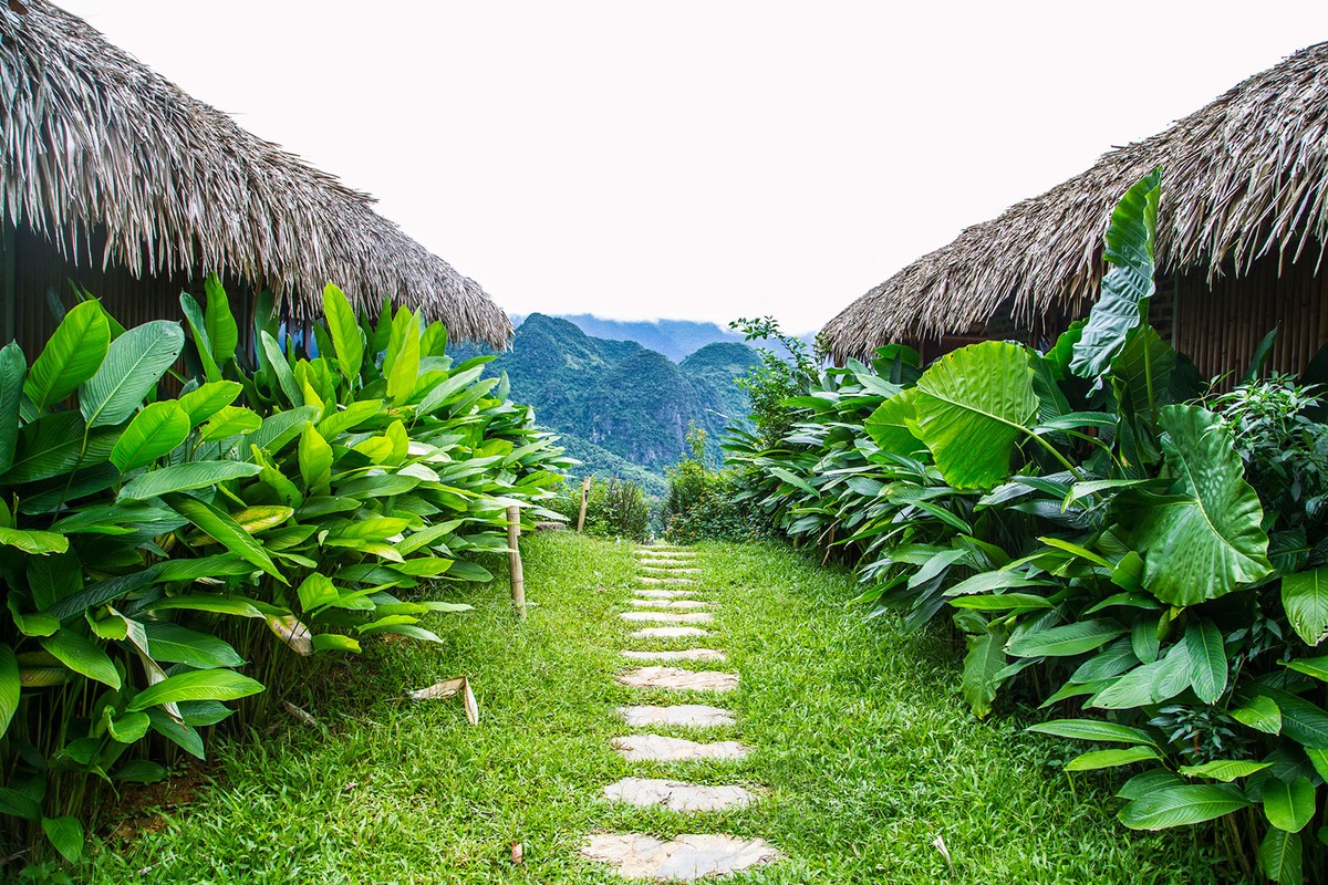 Pù Luông - Mùa lúa chín ảnh 6