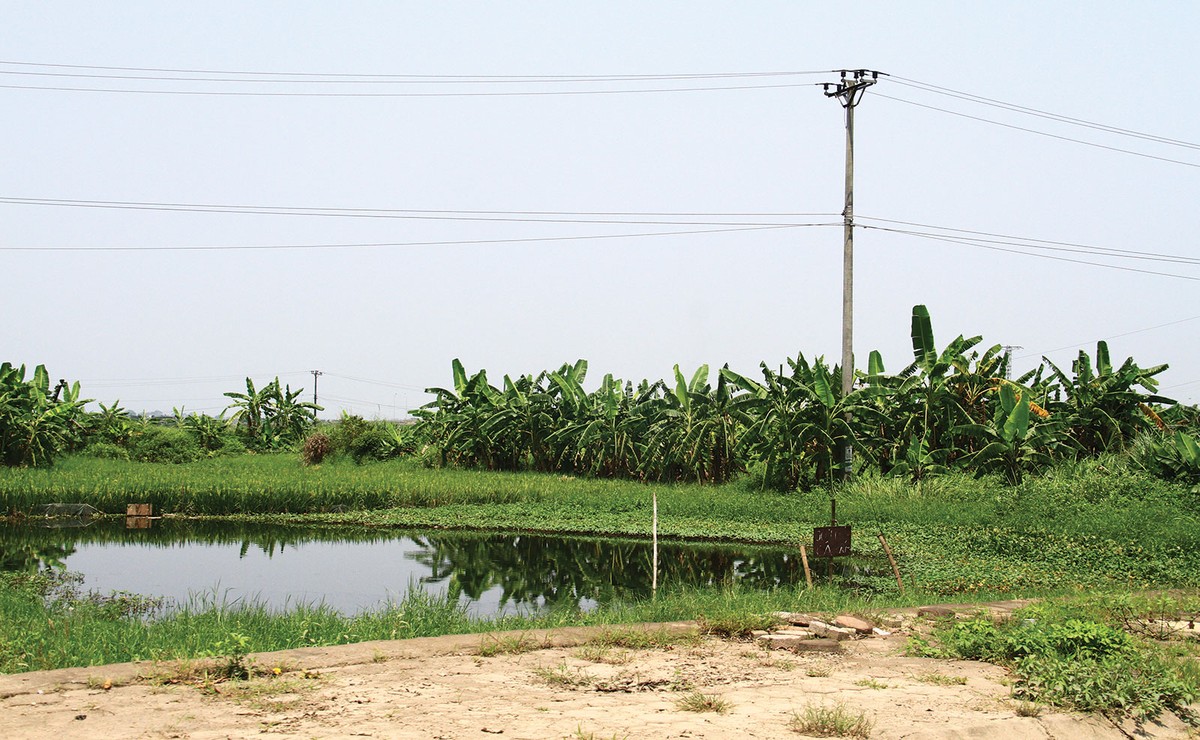 Nhức nhối quy hoạch treo, dự án chậm tiến độ ảnh 1