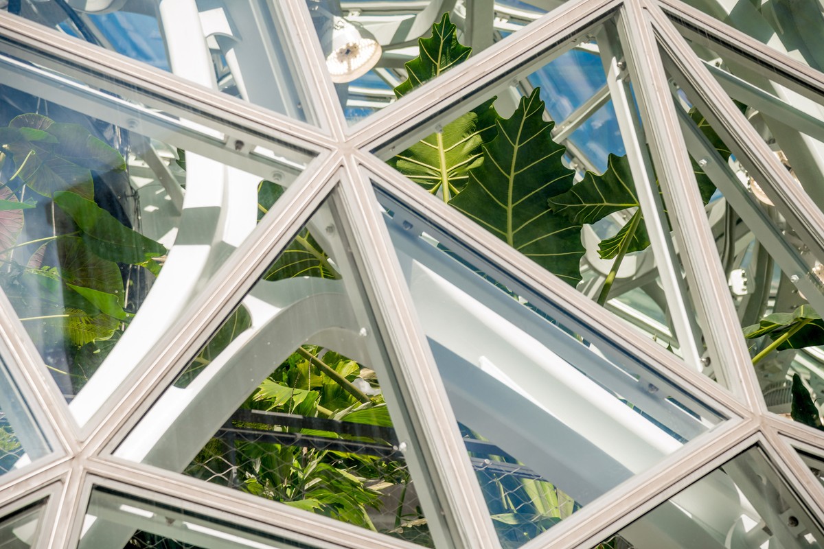 Spheres Amazon: Rừng trong phố, phố trong rừng ảnh 2