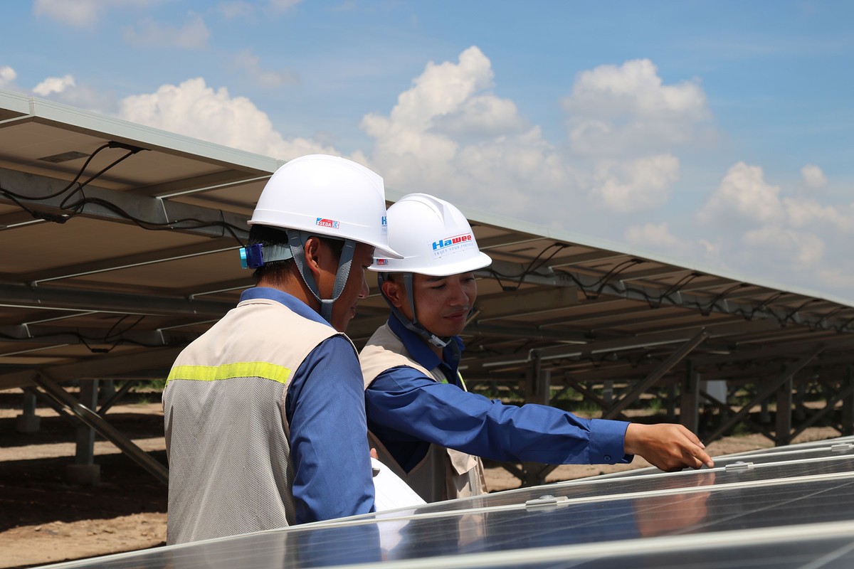 Bước ngoặt mới của Hawee Group ảnh 2