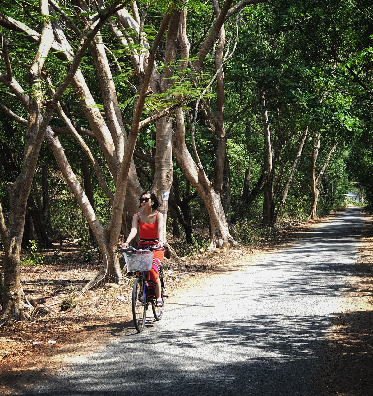 Bình yên Côn Đảo ảnh 6
