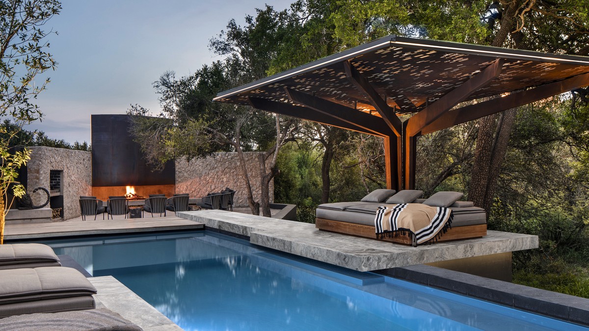 Cheetah Plains: Vẻ đẹp của sự đối lập ảnh 1