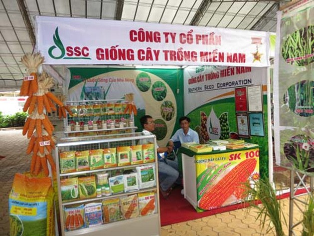 Áp lực từ sự phình to các khoản phải thu của Giống cây trồng miền Nam (SSC) ảnh 1