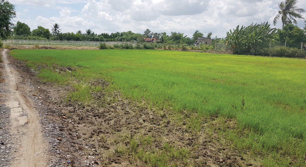 Long An: Dự án bị thu hồi, chính quyền giúp chủ đầu tư đòi tiền đặt cọc ảnh 1