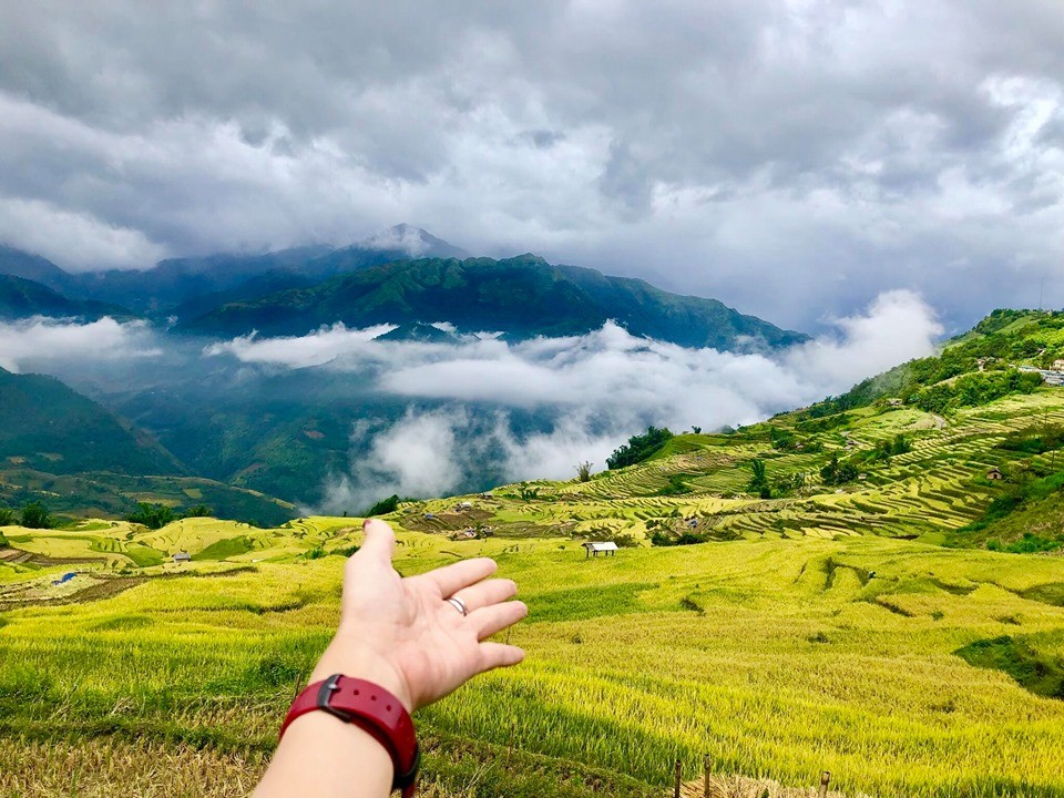 Mùa vàng Y Tý ảnh 1