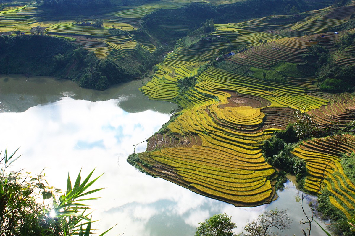 Mùa vàng Y Tý ảnh 4