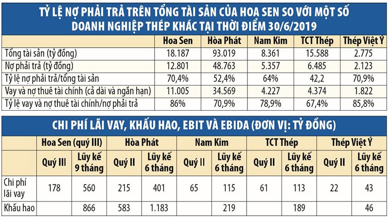 Bí ẩn lãi vay và khấu hao trong kinh doanh của Tập đoàn Hoa Sen (HSG) ảnh 1