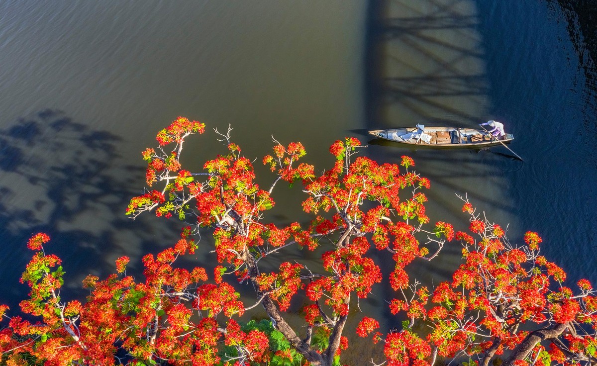 Sống ở thành phố xanh ảnh 1