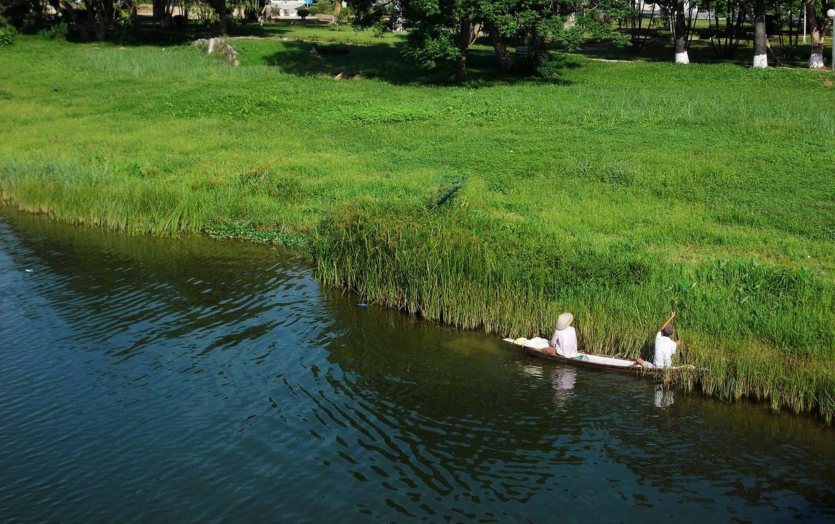 Sống ở thành phố xanh ảnh 2