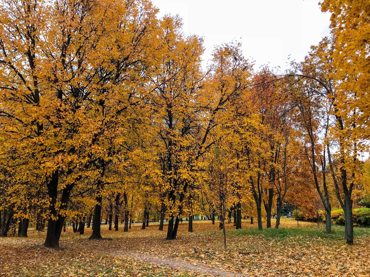 Mùa Thu nước Nga trong ánh sáng kỳ diệu ảnh 3