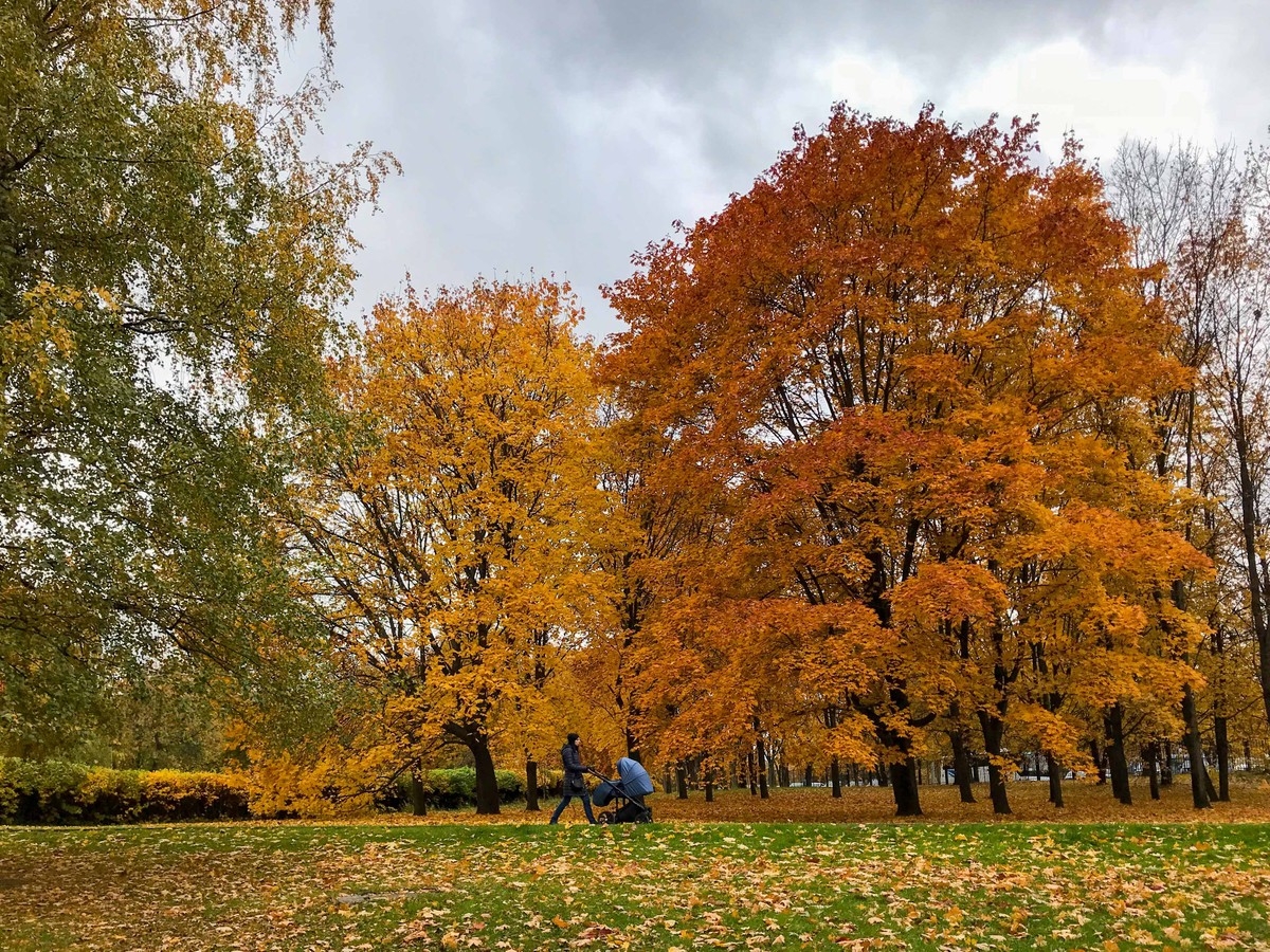 Mùa Thu nước Nga trong ánh sáng kỳ diệu ảnh 6