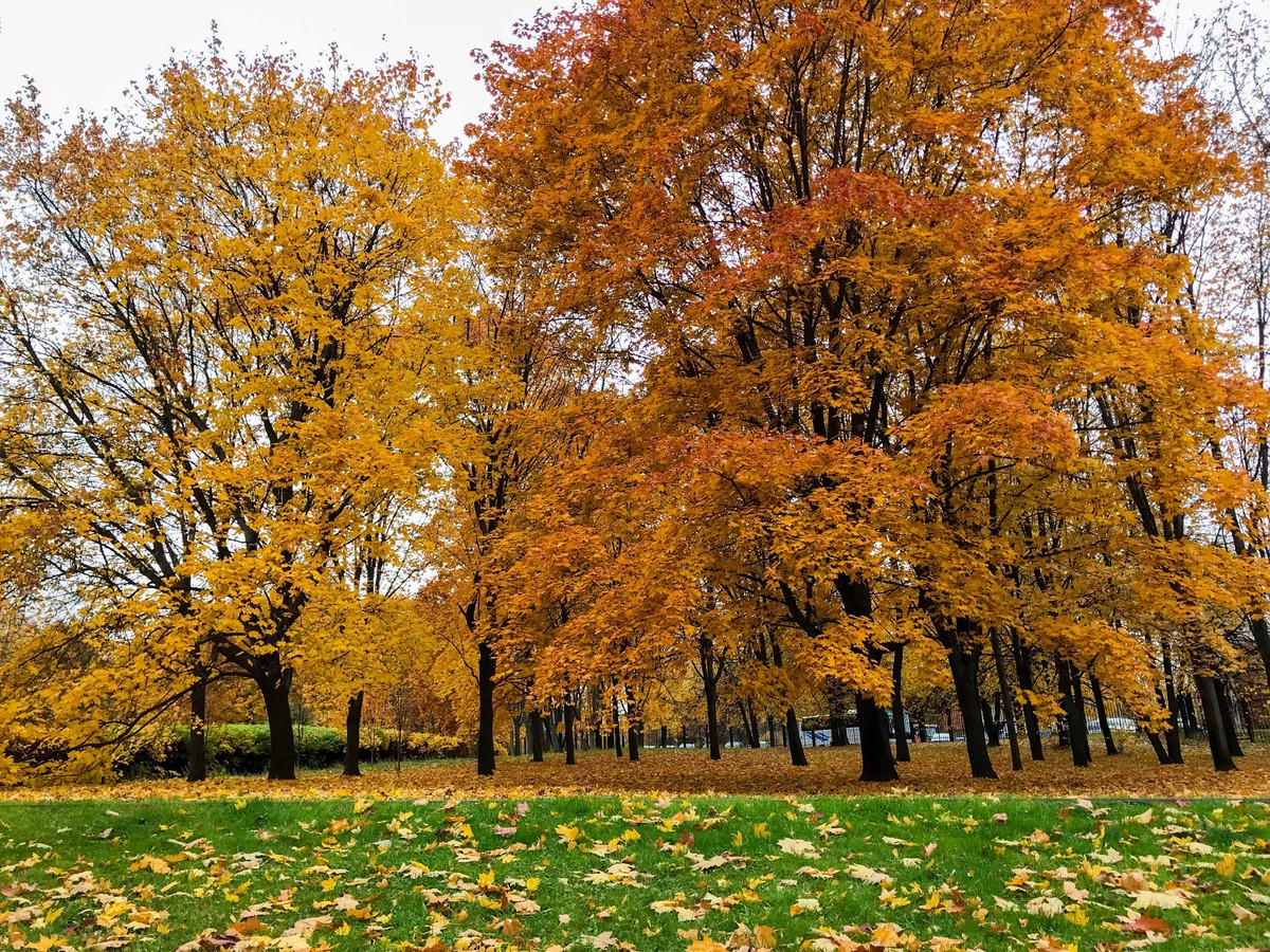 Mùa Thu nước Nga trong ánh sáng kỳ diệu ảnh 7