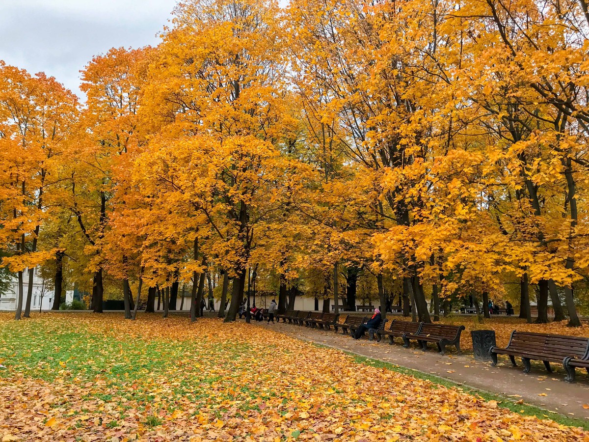 Mùa Thu nước Nga trong ánh sáng kỳ diệu ảnh 8