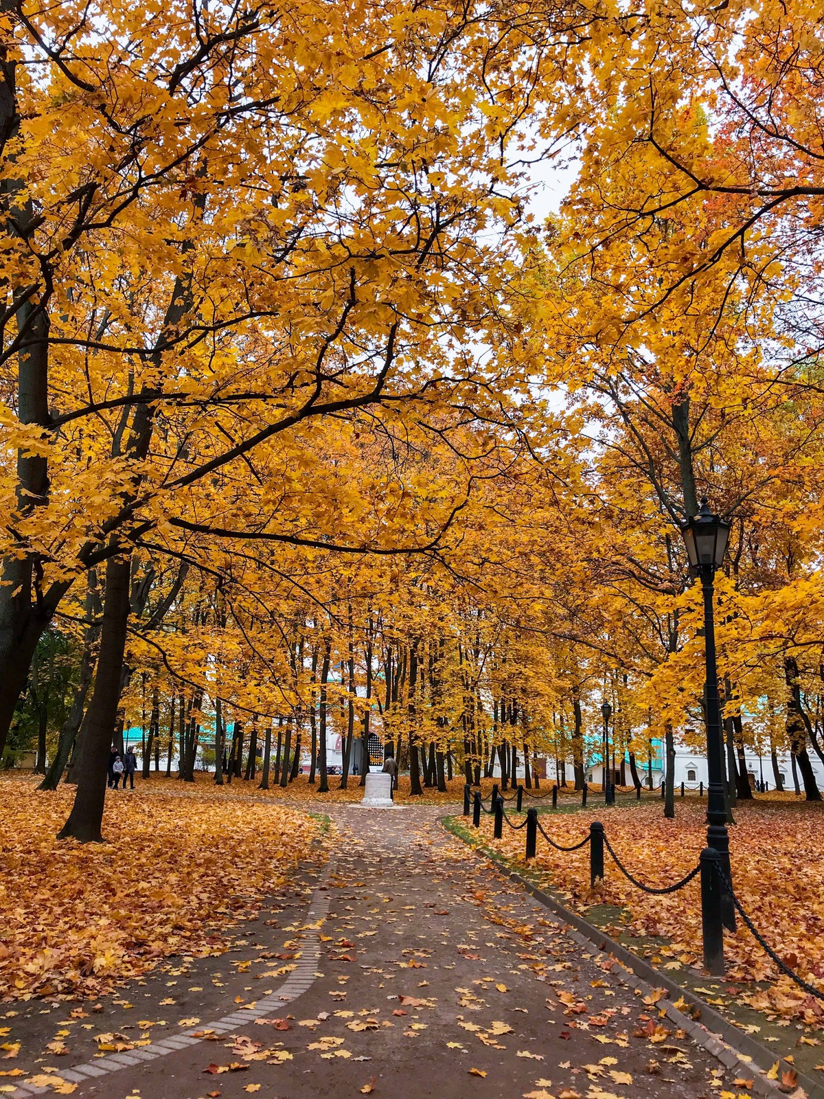 Mùa Thu nước Nga trong ánh sáng kỳ diệu ảnh 9