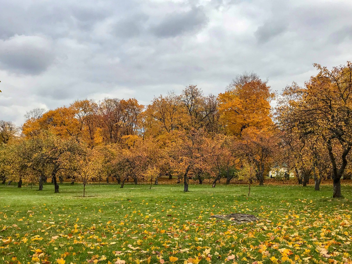 Mùa Thu nước Nga trong ánh sáng kỳ diệu ảnh 10