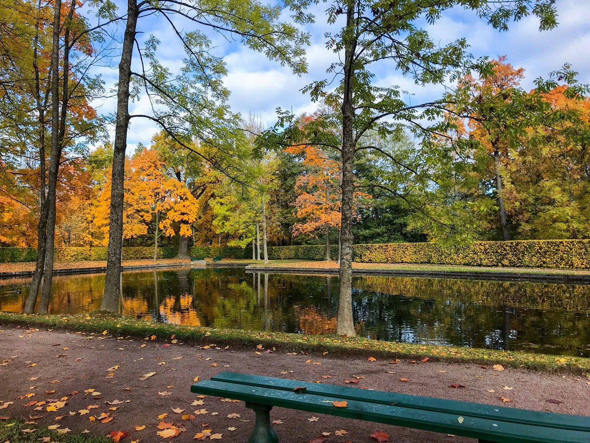 Mùa Thu nước Nga trong ánh sáng kỳ diệu ảnh 15