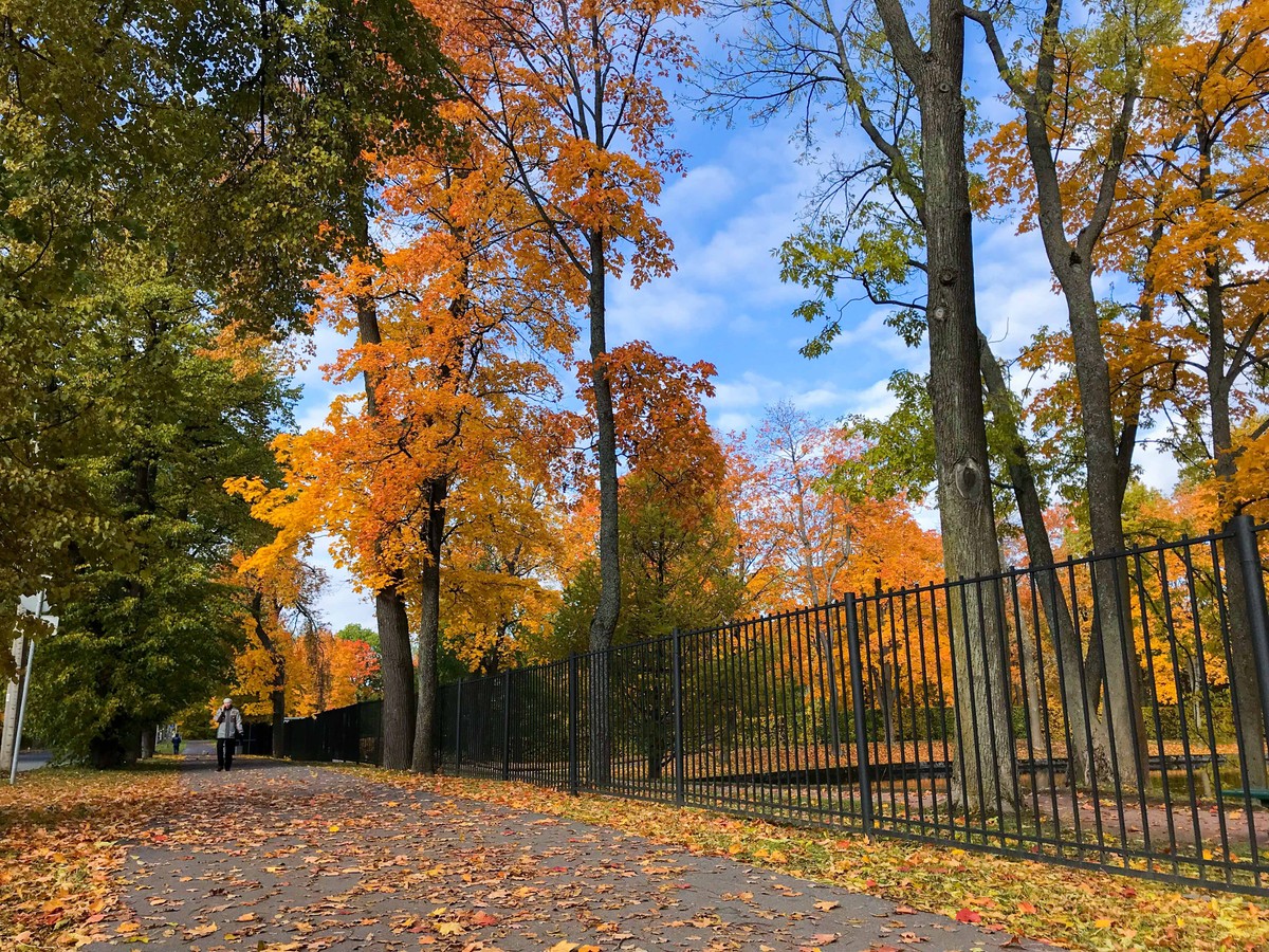 Mùa Thu nước Nga trong ánh sáng kỳ diệu ảnh 16