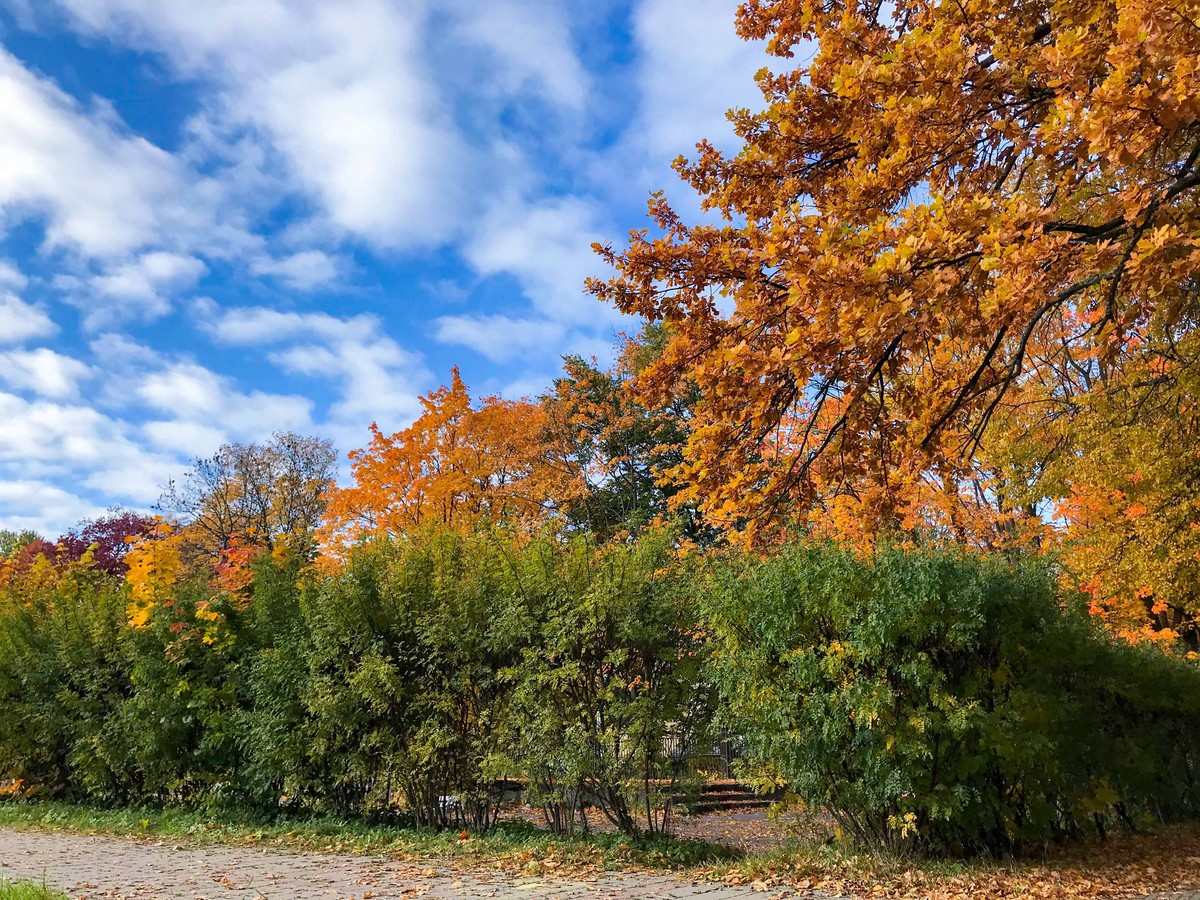 Mùa Thu nước Nga trong ánh sáng kỳ diệu ảnh 17