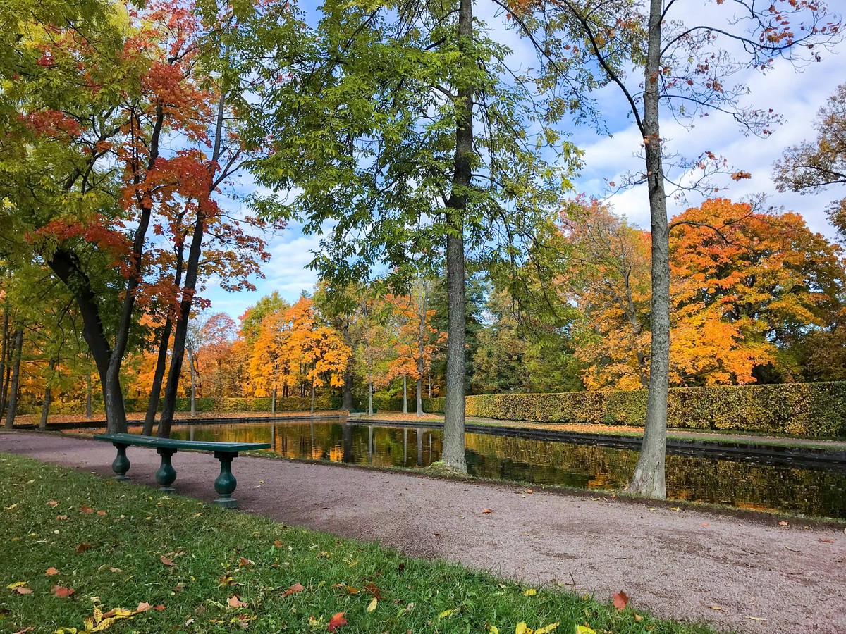 Mùa Thu nước Nga trong ánh sáng kỳ diệu ảnh 18