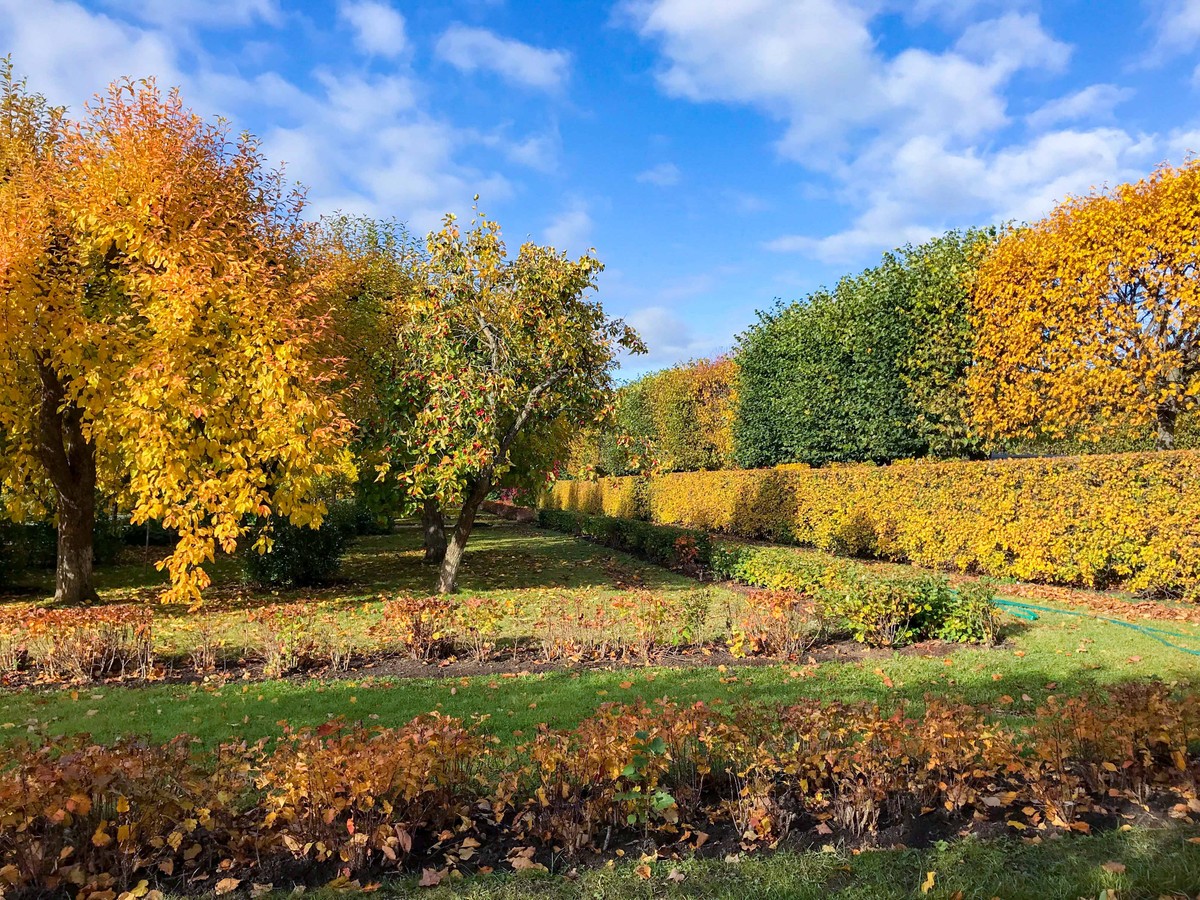 Mùa Thu nước Nga trong ánh sáng kỳ diệu ảnh 19