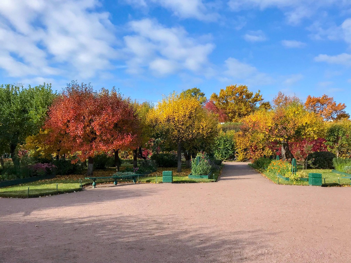 Mùa Thu nước Nga trong ánh sáng kỳ diệu ảnh 20