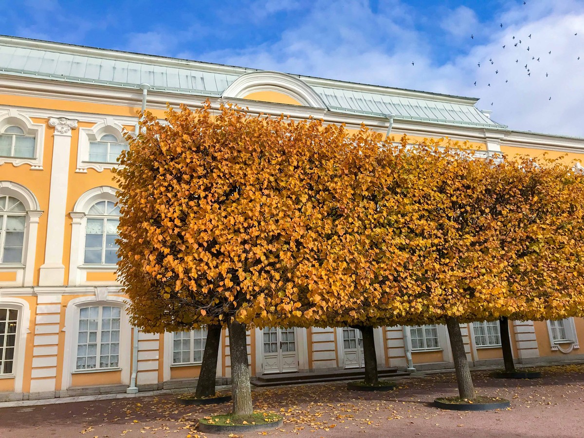 Mùa Thu nước Nga trong ánh sáng kỳ diệu ảnh 22