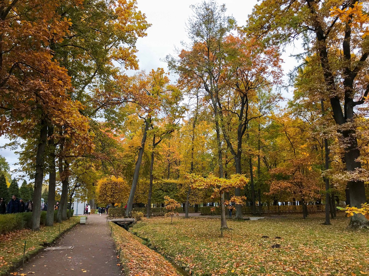 Mùa Thu nước Nga trong ánh sáng kỳ diệu ảnh 25