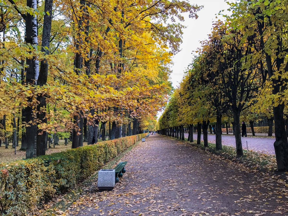 Mùa Thu nước Nga trong ánh sáng kỳ diệu ảnh 26