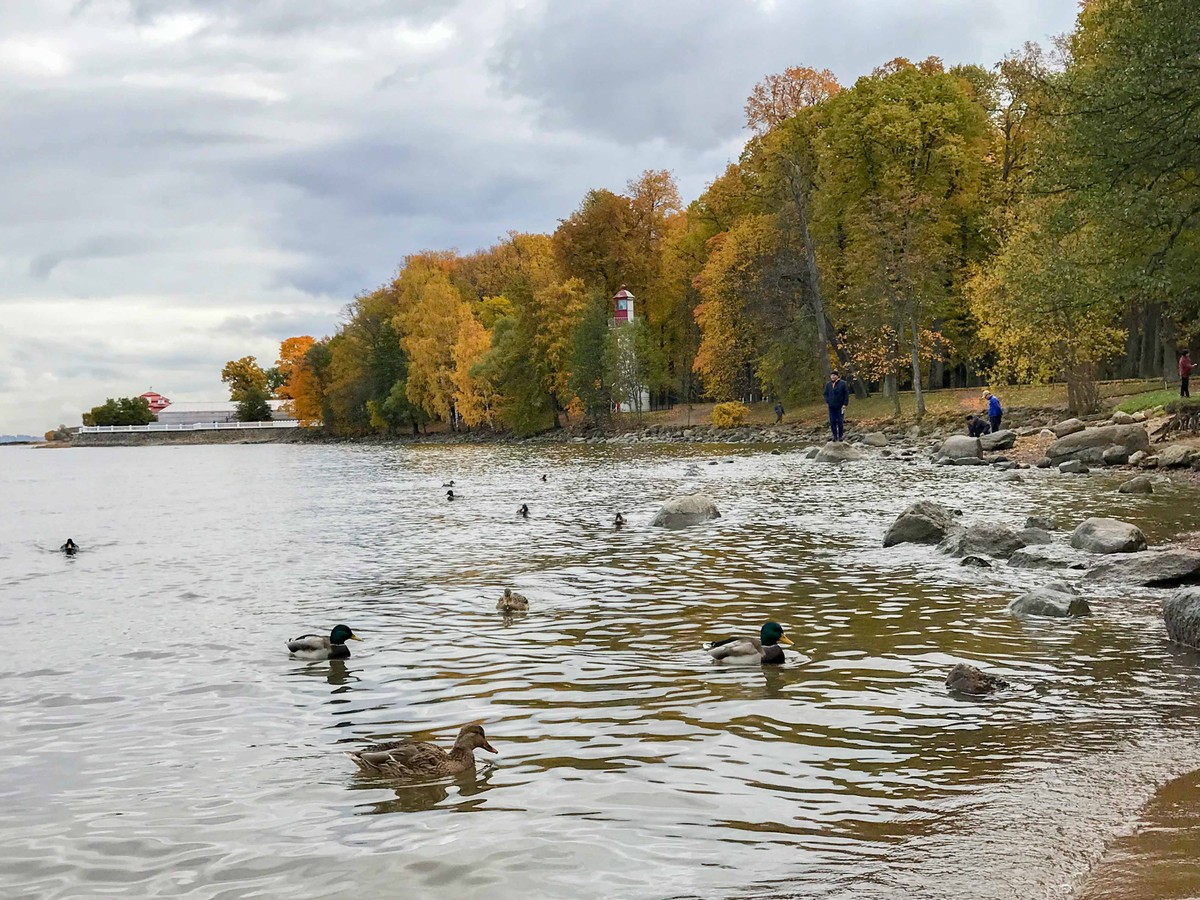 Mùa Thu nước Nga trong ánh sáng kỳ diệu ảnh 27