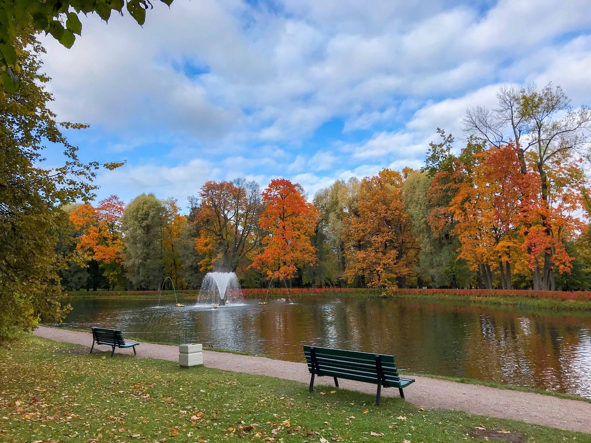 Mùa Thu nước Nga trong ánh sáng kỳ diệu ảnh 28